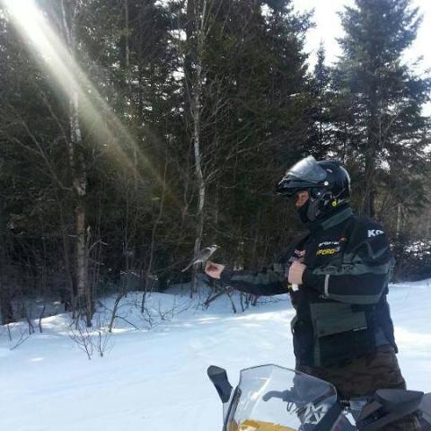 Mega Midweek Mountain Adventure (Single Rider Snowmobile / Guided)